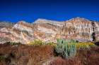 USA, Nevada, Elgin. Rainbow Canyon Art Print